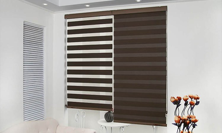 Zebra Blinds